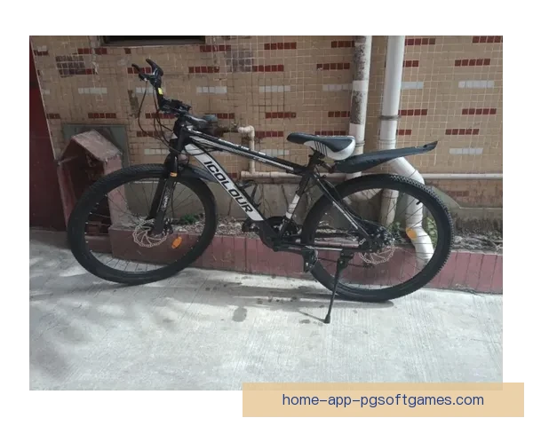 山地车文化：从历史到现代 21世纪越野骑行的传承与创新